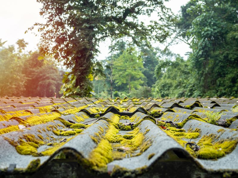 Eco-friendly Roofing Services